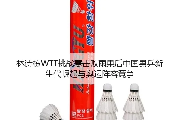 lin-shi-dong-tiao-zhan-sai-ji-bai-yu-guo-hou-zhong-guo-nan-ping-xin-sheng-dai-jue-qi-yu-ao-yun-zhen-rong-jing-zheng-3-386.jpg