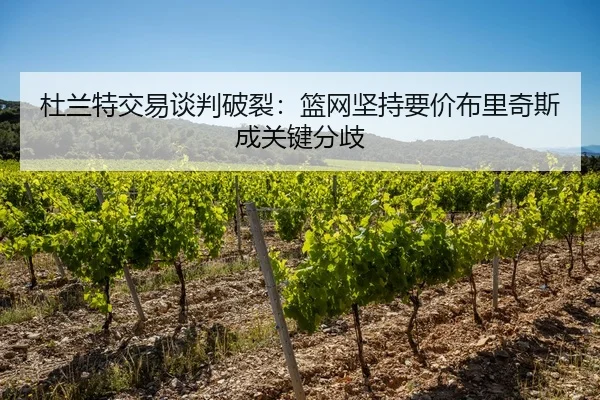 du-lan-te-jiao-yi-tan-pan-po-lie-lan-wang-jian-chi-yao-jia-bu-li-qi-si-cheng-guan-jian-fen-qi-2-644.jpg